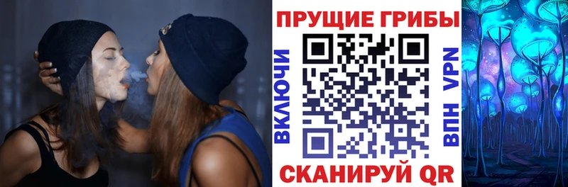 Псилоцибиновые грибы мухоморы  магазин  наркотиков  ОМГ ОМГ рабочий сайт  Курчалой 