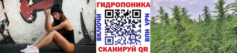 Шишки марихуана сатива  omg рабочий сайт  маркетплейс формула  Курчалой 